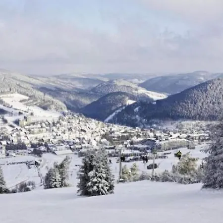 Flat In Olsberg Near The Area