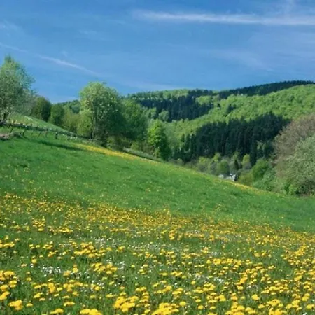 Flat In Olsberg Near The Area Elpe